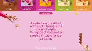 Little Moons full product range — chocolate fudge, mango, pistachio and more — WordPress brand website by MarkupMarvel