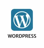 WordPress development